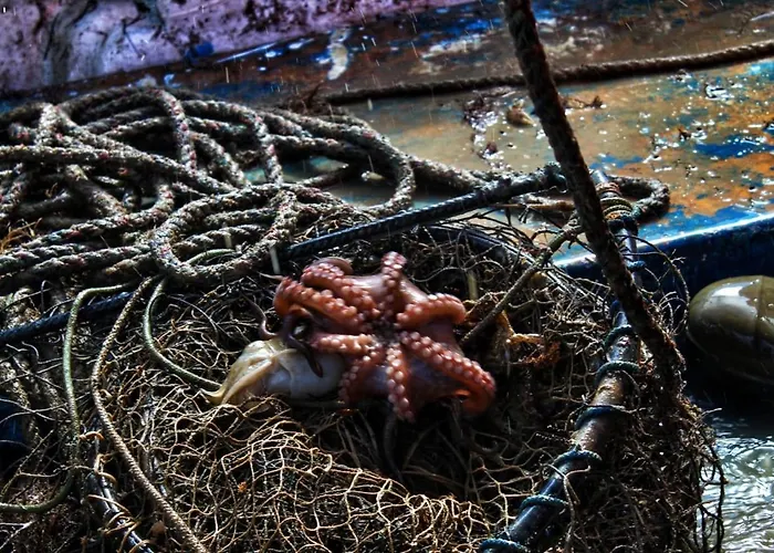 Ittiturismo Il Vecchio E Il Mare